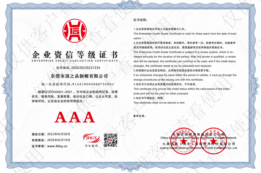 AAA Enterprise Credit Grade certificate